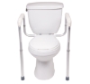 Picture of ProBasics Toilet Safety Frame