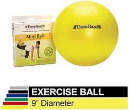 Picture of Thera-Band Mini Ball