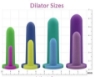 Picture of Intimate Rose Vaginal Dilators