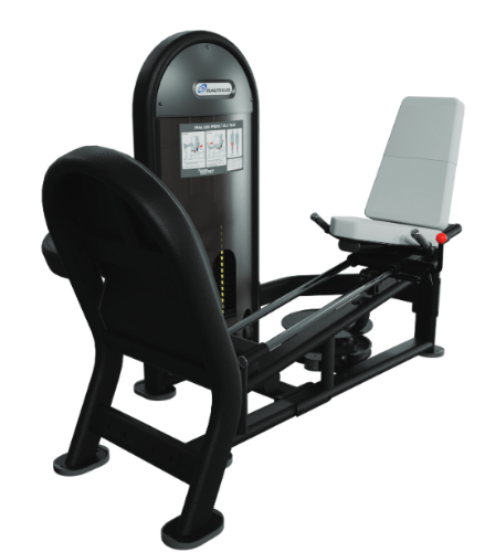 Picture of Dual Leg Press-Calf Raise