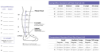 Picture of Compreflex Standard Calf & Foot, 20-50 mmHg- Regular