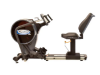 Picture of PhysioStep Pro Recumbent Stepper - StepLock Technology