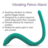 Picture of Vibrating Pelvic Wand