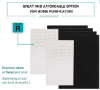 Picture of 2 Pack R True HEPA Replacement Filter