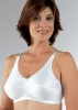 Picture of Classique 772E Feminine Fiber Filled Bra