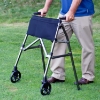 Picture of EZ Fold-N-Go Rolling Walker