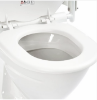 Picture of Toilet Seat with swing Away Armrests