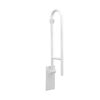 Picture of Glacier Folding Grab Bar