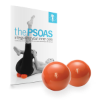 Picture of The Psoas and Franklin Smooth Ball Set